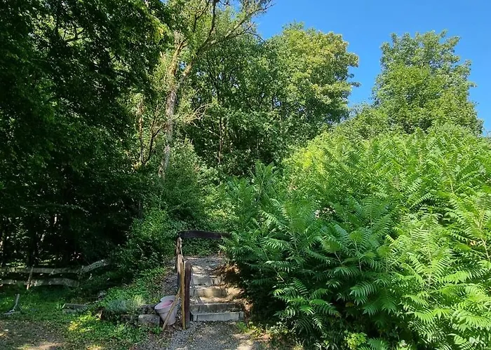 Vressence Vresse-sur-Semois